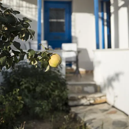 Nafsika's & Ntinos' * Filótion
